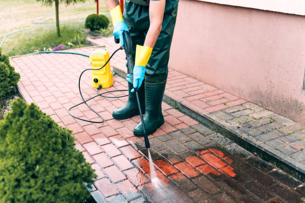Best Animal Enclosure Cleaning  in French Island, WI